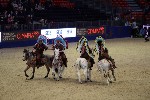 Quadrille - 00209